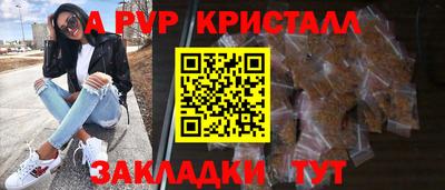 шишки Новозыбков