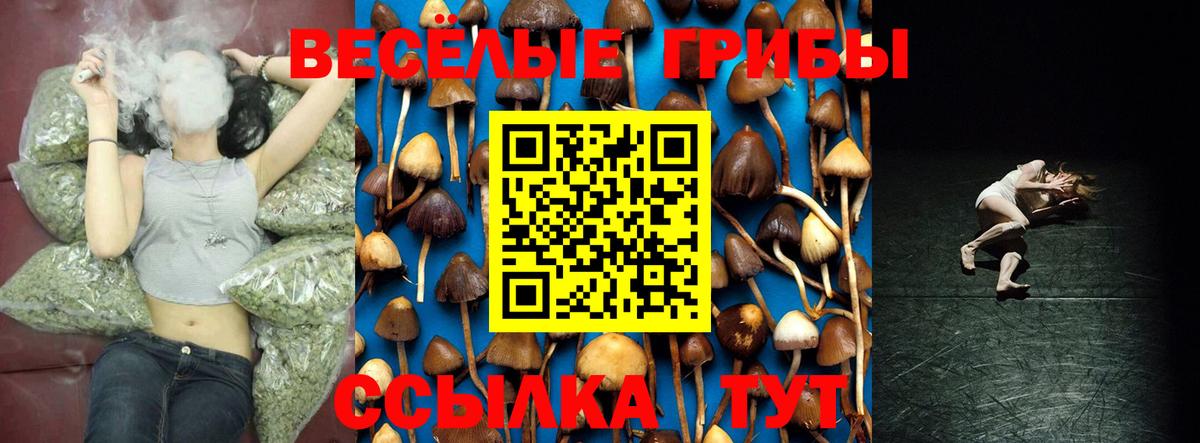 Псилоцибиновые грибы MAGIC MUSHROOMS Рузаевка